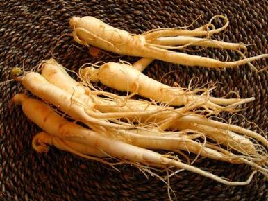 Ginseng root is a powerful erection stimulant