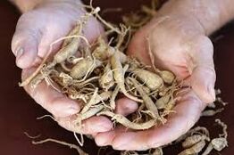 Improved male effectiveness by natural means
